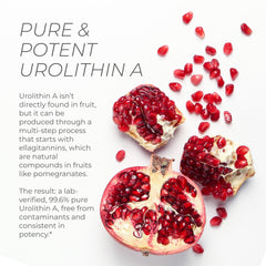 Ultra-micronized Urolithin A capsules detail