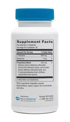 Nighttime calm mind concept with starry background