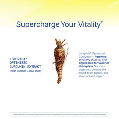 Neuroscientists developing the supplement