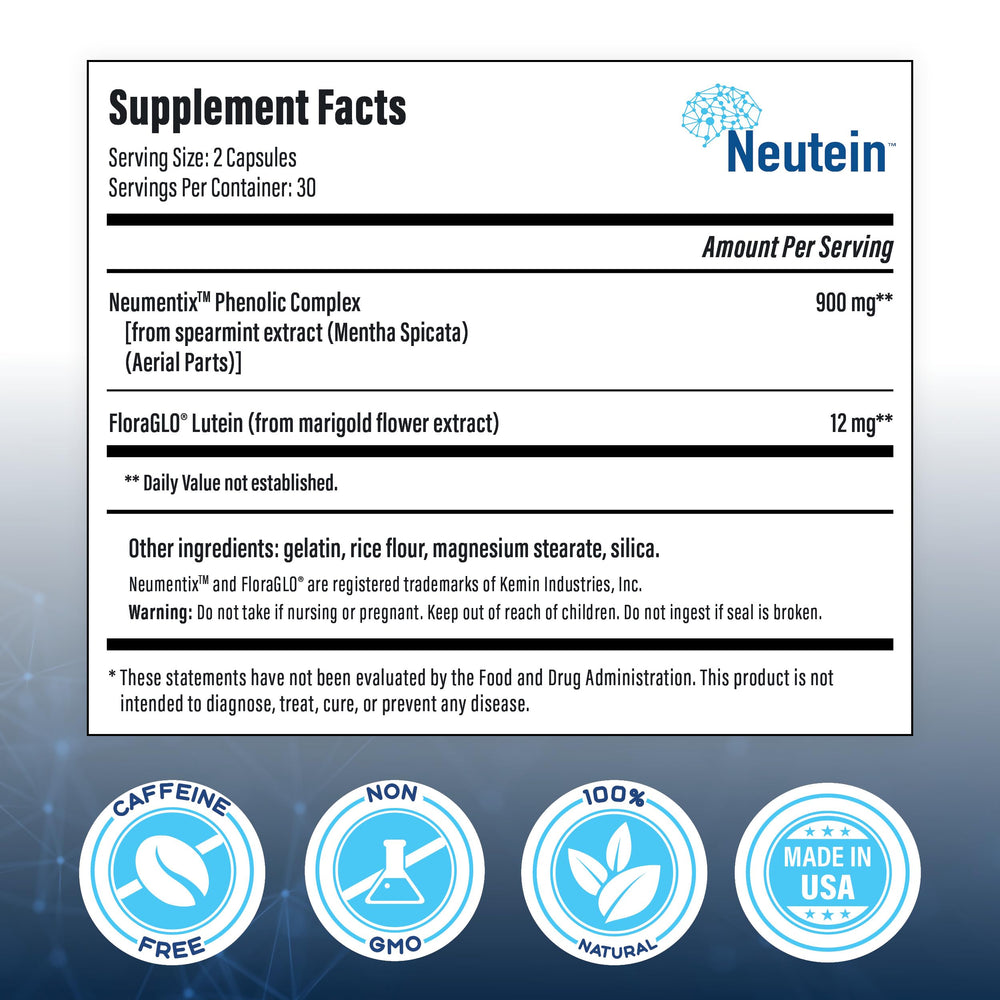 Brain health and memory concept imagery