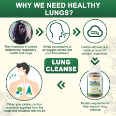 Serving size shows 1000 mg organic mullein leaf extract