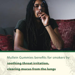 Vegan and gelatin-free Neviss Mullein Gummies packaging