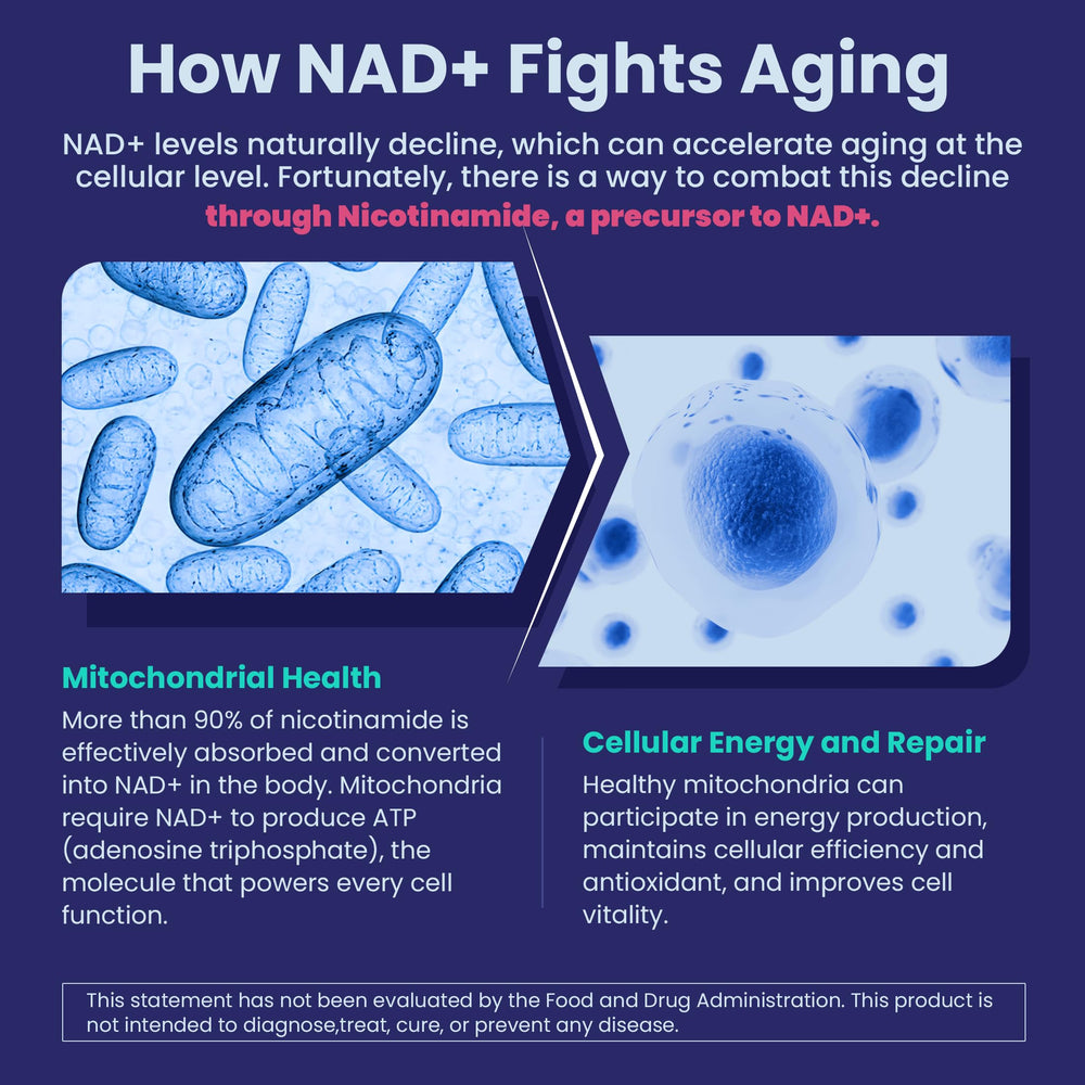 Concept image showing NAD+ support and niacinamide benefits