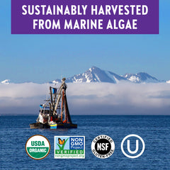Sustainably harvested Red Marine Algae used as organic calcium source