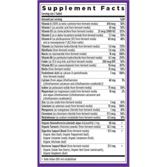 Fermented probiotic-based multivitamin ingredients illustration