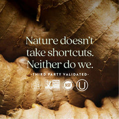 Holistic energy metabolism concept