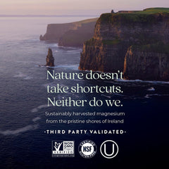 Fermented magnesium component for high bioavailability