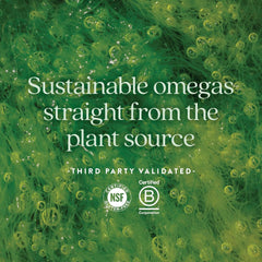 Indoor ocean-friendly algae cultivation system