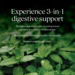 Dairy-free and gluten-free icons for Probiotic All-Flora 60 ct