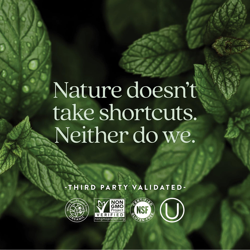 One daily, easy-to-digest multivitamin concept