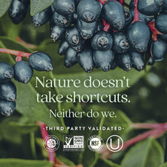 Zinc and copper balance graphic