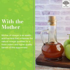 NEW NORDIC Apple Cider Vinegar Gummies featuring pure ingredients for clean daily supplementation