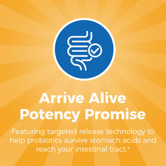 GMP-certified production facility in New York for probiotics