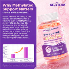 Nextdia gummy held in hand to show actual size and easy dosing