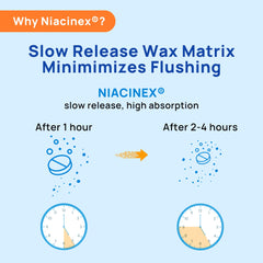 Graphic illustrating Niacinex minimal to no flush formula