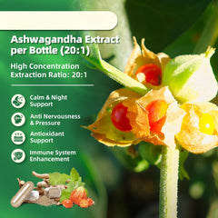 Chamomile for nighttime relaxation in Cortisol Manager