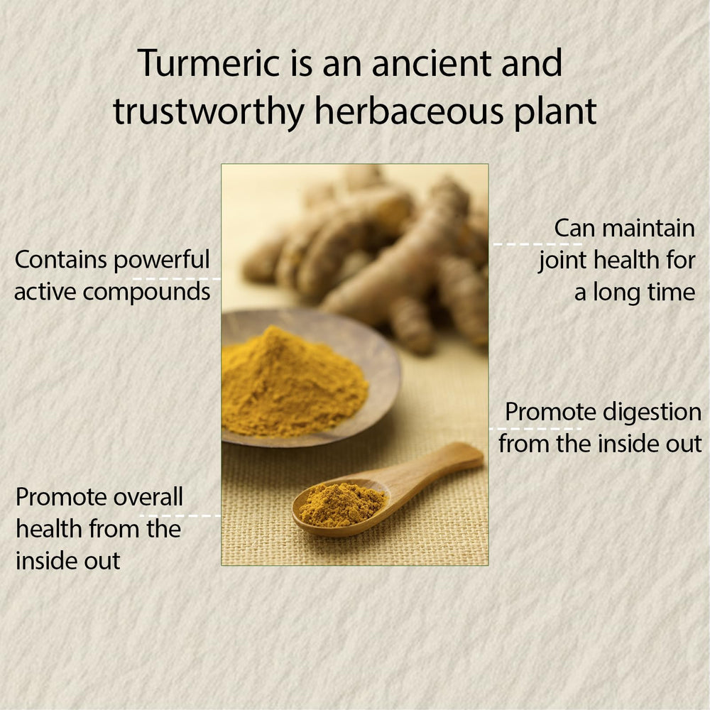 Illustration of ginger, bee propolis, and MCT oil ingredients