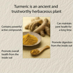 Illustration of ginger, bee propolis, and MCT oil ingredients