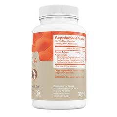 Wellness lifestyle illustration representing vitality