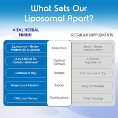 Graphic depicting increased energy and focus from NMNH