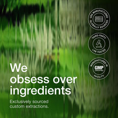 Diagram illustrating NAD+ precursor support and bioavailability