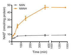 Serving size 30 servings per bottle for NMNH supplement