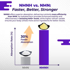 Turmeric and Rhodiola Rosea with NMNH