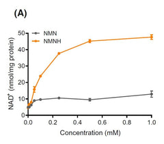 Made in USA in GMP facility with quality testing