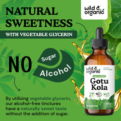 No added sugar gotu kola drops