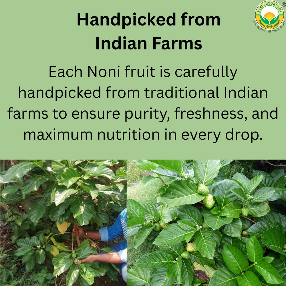 Label showing no added sugar, preservatives, or artificial colors