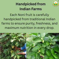 Label showing no added sugar, preservatives, or artificial colors