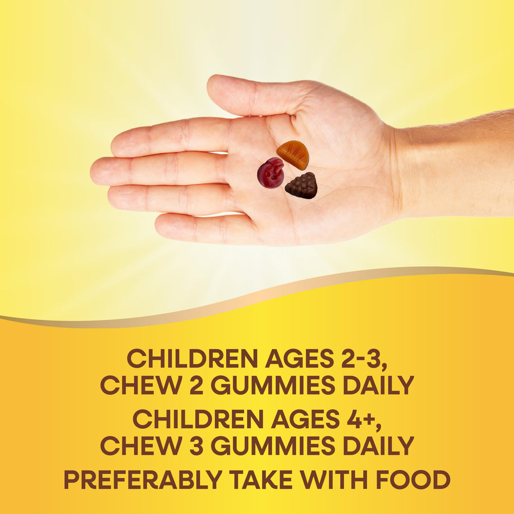 Label indicating no artificial flavors or preservatives