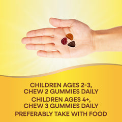 Label indicating no artificial flavors or preservatives