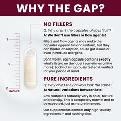 No fillers and gluten-free probiotic capsules