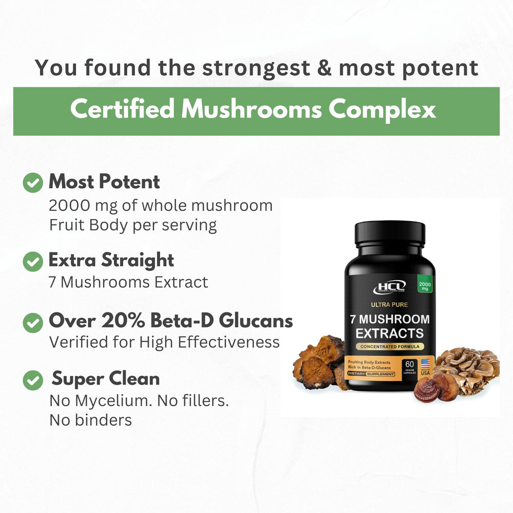 Mushroom extract capsules with no fillers or grains