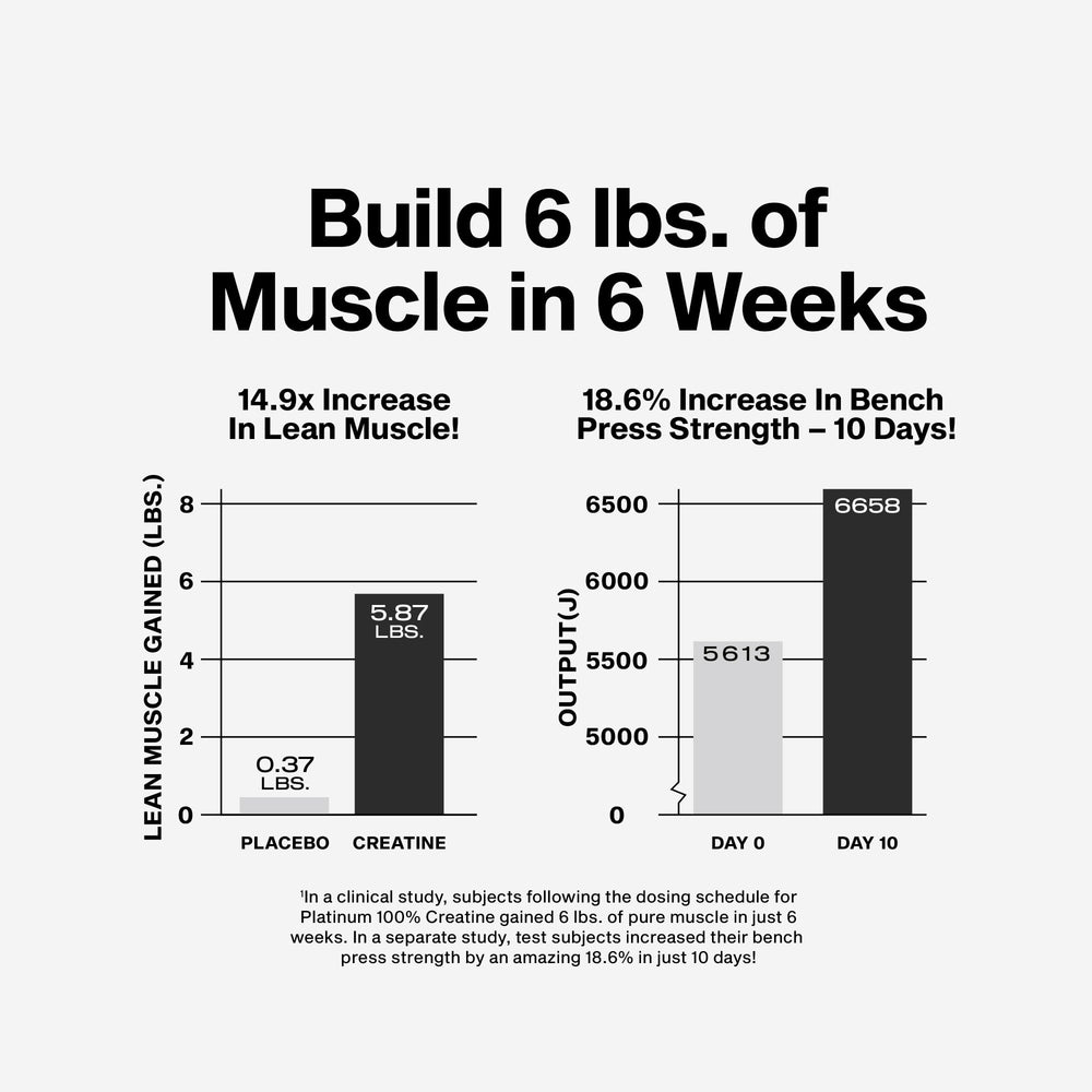 No-fillers and sugar-free creatine powder container