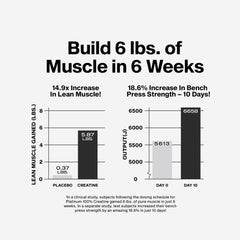 No-fillers and sugar-free creatine powder container