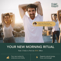 Label highlighting no synthetic fillers or artificial additives