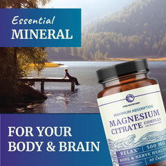 Digestive support scene featuring Nobi Nutrition magnesium citrate for gut moisture.