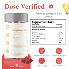 Close-up of Lion's Mane focus gummy showing texture