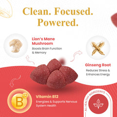 American ginseng and Vitamin B12 ingredients illustration