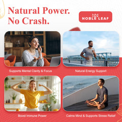 Front and back label of Noble Leaf Lion's Mane gummies