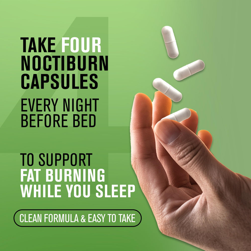 Illustration of overnight metabolism and sleep support