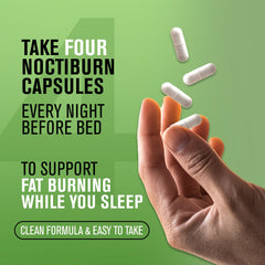 Illustration of overnight metabolism and sleep support