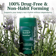 Ingredients layout showcasing melatonin, lemon balm, and valerian root