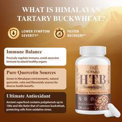 Curcumin illustration representing anti-inflammatory support