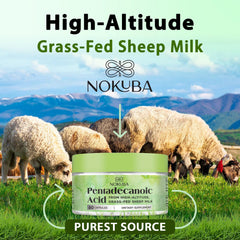 Sustainability and high-altitude sheep milk sourcing reference