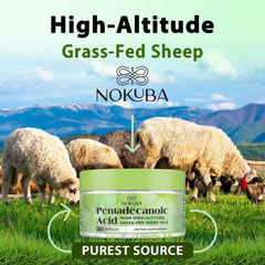 Lifestyle image of Nokuba Pentadecanoic Acid in use