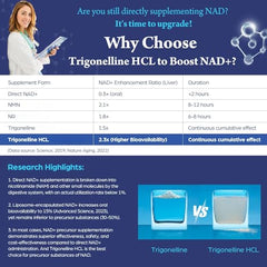 Capsules spilled from bottle to show serving size