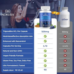 Lifestyle image showing active adults seeking energy and healthy aging